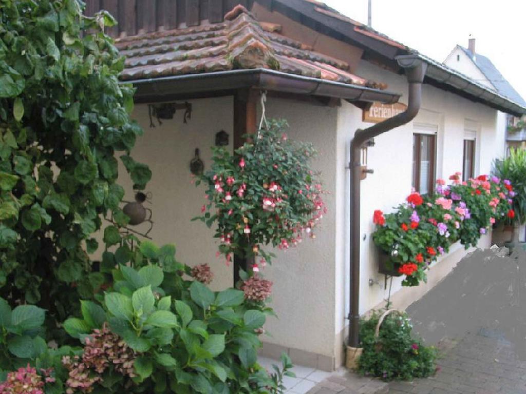Ferienwohnung Am Blumengaessle 穆尔海姆 外观 照片